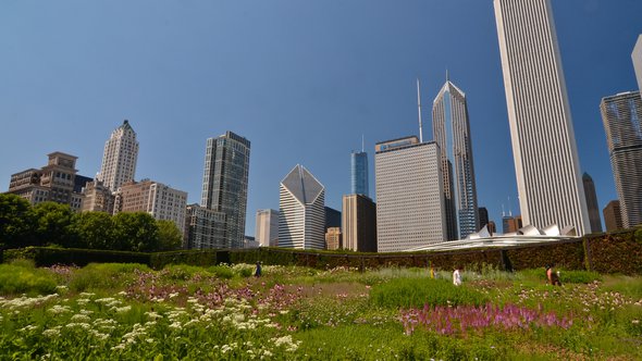 green roof lurie garden