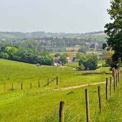 Heuvelland wandelroute  bij Stokhem in Zuid-Limburg door TVGD (bron: Shutterstock)