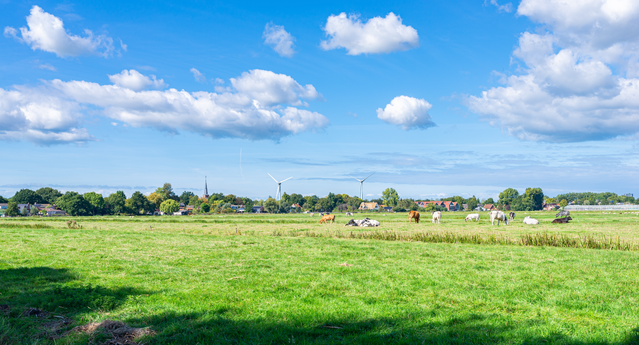 Landelijk landschap in Nederland door Menno van der Haven (bron: Shutterstock)