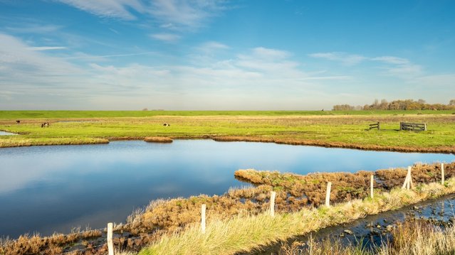 Polder in Burgh-Haamstede, Zeeland door Sonny Vermeer (bron: Shutterstock)