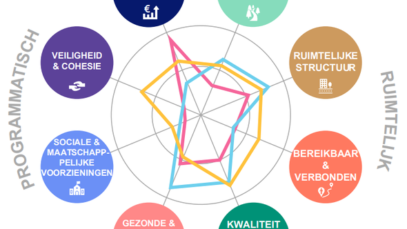 Figuur 3 Rollen bij sturing op maatschappelijke meerwaarde in Rijnhuizen. Sturing publiek: geel - Sturing privaat: roze - Sturing club: blauw door Ramon Rodrigo (bron: Ramon Rodrigo)