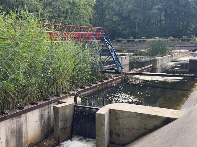 Golfbak Deltawerken in Waterloopkundig Laboratorium.jpg door Kees de Graaf (bron: Kees de Graaf)