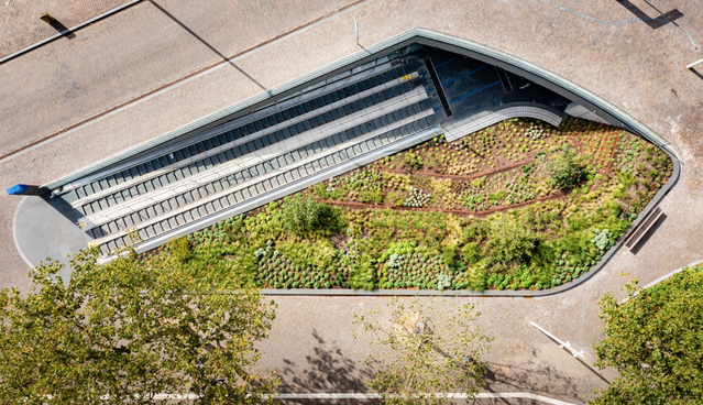 Onder het Stationsplein is een grote fietsparkeergarage aangelegd, waarvan de ingangen draai opgaan in het landschap. door Gemeente Zwolle (bron: Stedenbouw & Architectuur)