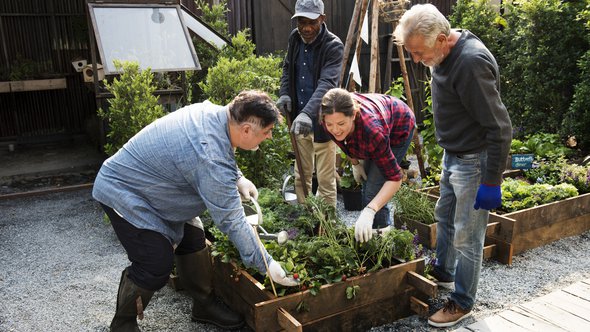 Samenwerkende bewoners in de moestuin door Rawpixel.com (bron: Shutterstock)