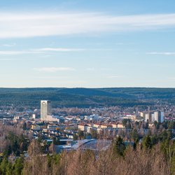 View from vitberget over skellefteå city with the famous culture house built entirely in wood to the left in the picture door Lars Ove Jonsson (bron: Shutterstock)