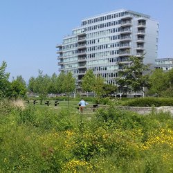 Ingrid Rompa_Natuurgebied in Olympic Village