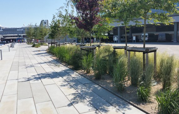 Vergroenen van plein, Aarhus door Nanda Sluijsmans (bron: Wikimedia Commons)