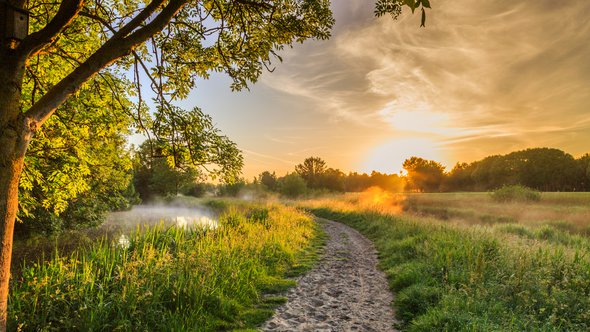 Nederlandse natuur door Photodigitaal.nl (bron: shutterstock.com)