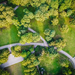 Bovenaanzicht luchtfoto van vliegende drone van een stadspark met wandelpad en groene zonebomen in de avondtijd door Aleksandrs Muiznieks (bron: Shutterstock)
