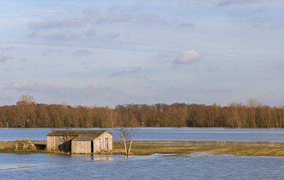IJssel high water door Agami Photo Agency (bron: Shutterstock)