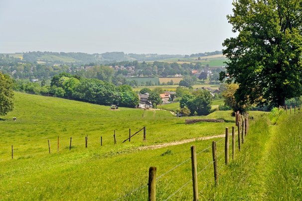 Heuvelland wandelroute  bij Stokhem in Zuid-Limburg door TVGD (bron: Shutterstock)