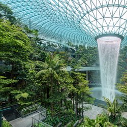 Jewel Changi vliegveld in Singapore door Em Campos (bron: Shutterstock)