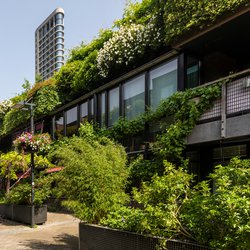 Groene straat in het centrum van Eindhoven door Lea Rae (bron: Shutterstock)