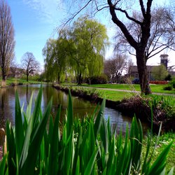 Wilhelminapark, Zoetermeer, The Netherlands