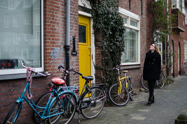 Straat in Nederland door Miriam artgraphy (bron: Shutterstock)