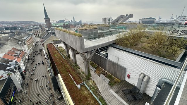 Daktuin Salling Aarhus door Kees de Graaf (bron: Gebiedsontwikkeling.nu)