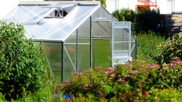 greenhouse