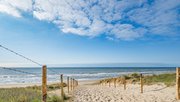 Duinen Noordzee door Corri Seizinger (bron: Shutterstock)