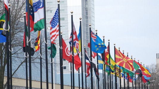 2015.01.26_Internationale zone_vlaggen_660