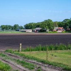 Verse ingezaaide landbouwgrond voor de voedingsindustrie op het Nederlandse platteland in Huijbergen, Noord-Brabant, Nederland 16 mei 2025 door Werner Lerooy (bron: Shutterstock)