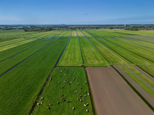 Luchtfoto van groene landerijen door Ivan Vasylyev (bron: Shutterstock)
