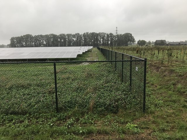 Zonneveld Klarenbeek, in 2021 gerealiseerd door Noël van Dooren (bron: Noël van Dooren)