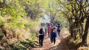 Wandelende mensen in het bos door Mita Stock Images (bron: Shutterstock)