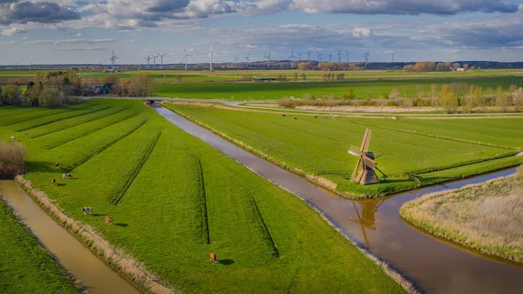 Landerijen met koeien en windmolens door Frederick Doerschem (bron: Shutterstock)