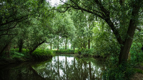 Dommel, Noord Brabant door Iryna Melnyk (bron: shutterstock.com)