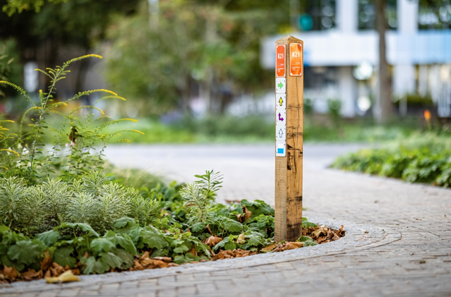 Verbindingen worden gestimuleerd, onder andere door het wandelnetwerk door het Stationsplein te laten kruizen door Gemeente Zwolle (bron: Stedenbouw & Architectuur)