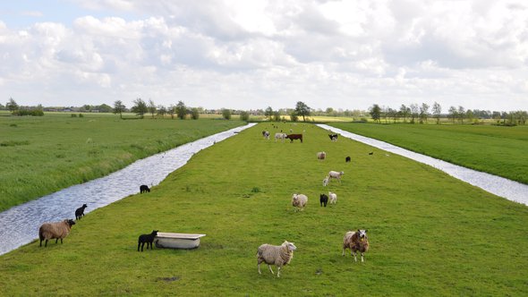 Polder Oudewater