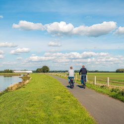 Dijk Biesbosch door Ruud Morijn Photographer (bron: shutterstock.com)