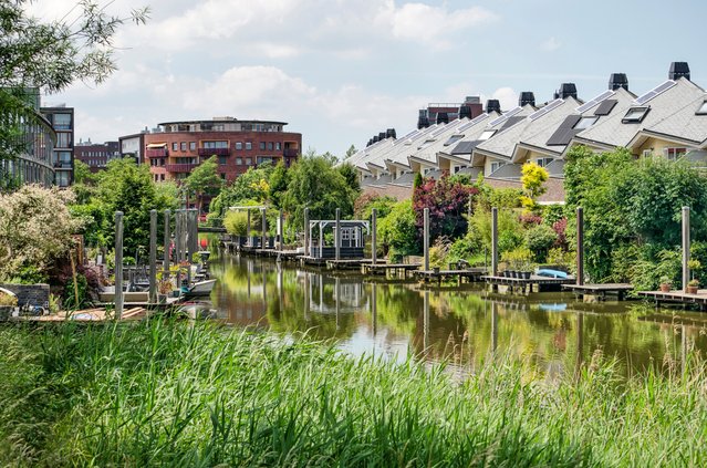 Wateringseveld in Den Haag door Frans Blok (bron: Shutterstock)