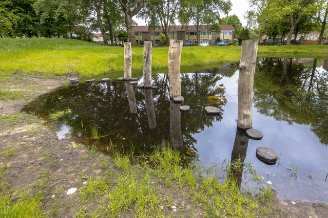 Houten stapstenen in een vijver door Rudmer Zwerver (bron: shutterstock)