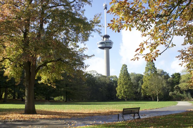 Erasmuspark, Rotterdam door SWB Moments (bron: Shutterstock)