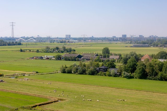 Polderlandschap door Wut_Moppie (bron: Shutterstock)