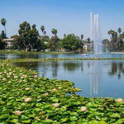 Park in Los Angeles door Kit Leong (bron: Shutterstock)