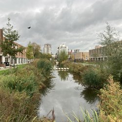Tromptuinen in Wielwijk met aan weerszijden koopwoningen door Teun van den Ende (bron: Teun van den Ende)