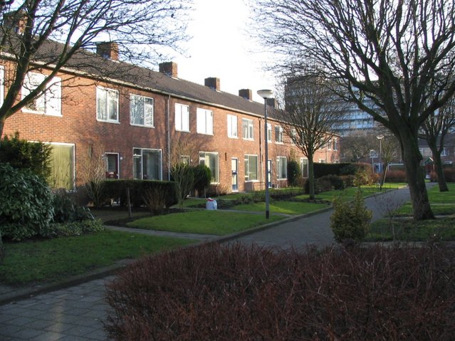 Prunusstraat in de wijk Selwerd, Groningen door Michh (bron: Wikipedia Commons)
