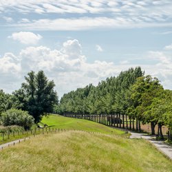 Dordrecht, The Netherlands door Frans Blok (bron: Shutterstock)