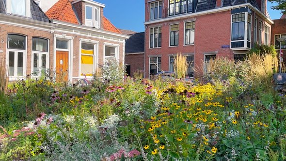 Groene Oase tussen gebouwen in door Rene Notenbomer (bron: Shutterstock)
