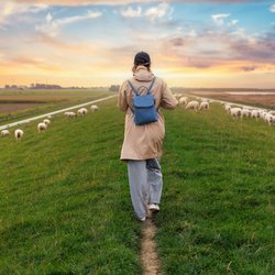 Lopen op de dijk in Oost-Friesland door K-FK (bron: Shutterstock)
