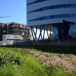 Amstelkwartier nieuwbouw 1