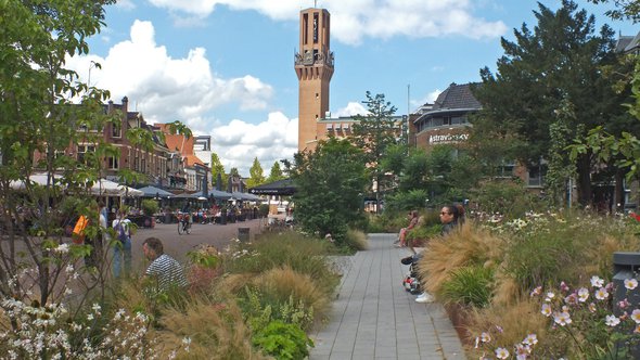 Kleurrijke kerktuin en stadhuistoren door Maarten Hoorn (bron: Maarten Hoorn)