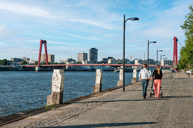 Willemsbrug, Rotterdam door Tina Zhou (bron: Shutterstock)