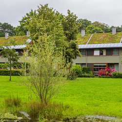 Groene daken, Arnhem door INTREEGUE Photography (bron: Shutterstock)