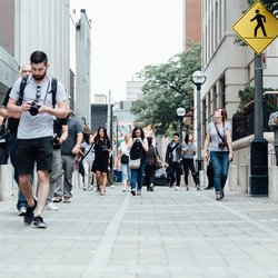 pedestrians voetgangers mensen