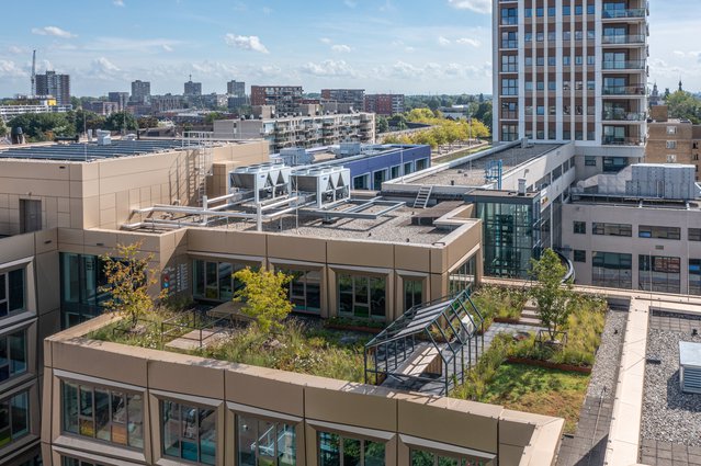 Voorbeeld-vierkleurendak door Urban Jungle Project (bron: Gemeente Zoetermeer)