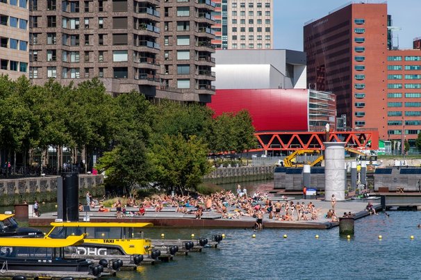 Rotterdam door 365 Focus Photography (bron: Shutterstock)