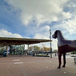 Mannes en station Assen door Kees de Graaf (bron: Kees de Graaf)
